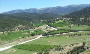 الطبيعة في فصل الربيع بيابوس.