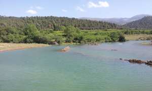 الطبيعة في فصل الربيع بيابوس.