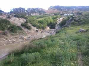 الطبيعة في فصل الربيع بيابوس.