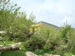 الطبيعة في فصل الربيع بيابوس.