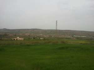 الطبيعة في فصل الربيع بيابوس.