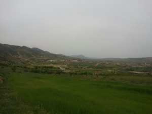 آفاق اقتصادية واعدة لزراعة التفاح ببلدية يابوس خاصة مع انجاز سد يابوس .