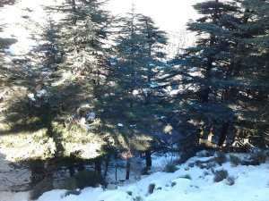 الثلوج تغطي جبل شيليا