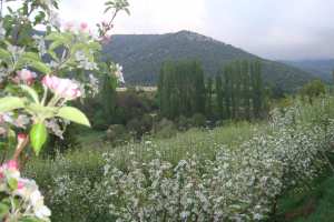 La nature et les pratiques de la nature dans les montagnes