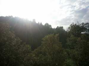 la nature de reveille.