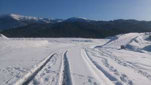 La neige couvre les montagnes et les forêts .....Chélia.......