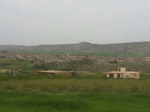 La saison du Printemps à Yabous