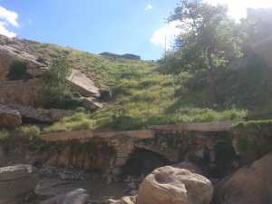 La saison du Printemps à Yabous