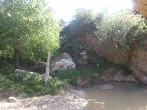 La saison du Printemps à Yabous