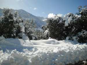 Chélia recouverte de neige blanche