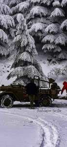 Chélia recouverte de neige blanche