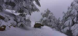 Chélia recouverte de neige blanche