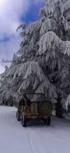 الثلوج تغطي قمة جبل شيليا في عز الربيع.