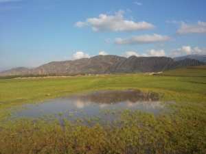 السياحة الجبلية والبيىة في بلدية يابوس