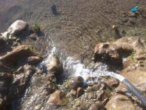 السياحة الجبلية والبيىة في بلدية يابوس