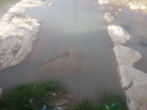 السياحة الجبلية والبيىة في بلدية يابوس