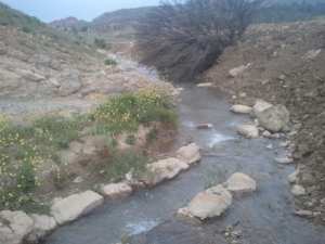 السياحة الجبلية والبيىة في بلدية يابوس