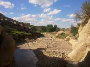 شليا بلدية يابوس في فصل الربيع.