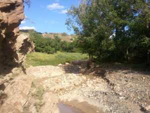 شليا بلدية يابوس في فصل الربيع.