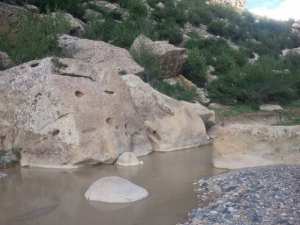 شليا بلدية يابوس في فصل الربيع.