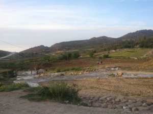 شليا بلدية يابوس في فصل الربيع.