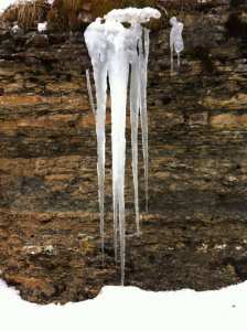 شليا بلدية يابوس في فصل الربيع.