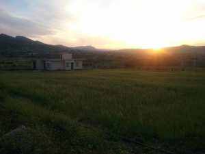 شليا بلدية يابوس في فصل الربيع.