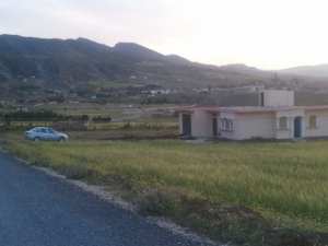 شليا بلدية يابوس في فصل الربيع.