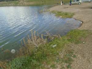 Tourisme de santé entre montagne et barrage:cas de Chelia.khenchela