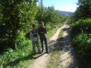 Une production record de la pomme à Yabous ...Khenchela...