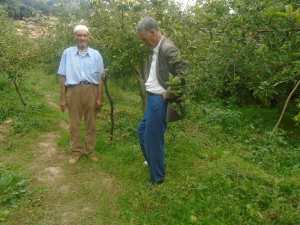 Une production record de la pomme à Yabous ...Khenchela...