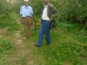 Une production record de la pomme à Yabous ...Khenchela...