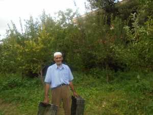 Une production record de la pomme à Yabous ...Khenchela...