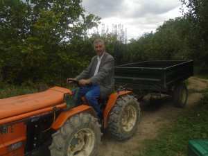 Une production record de la pomme à Yabous ...Khenchela...