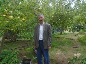 Une production record de la pomme à Yabous ...Khenchela...