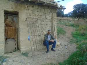 Une production record de la pomme à Yabous ...Khenchela...