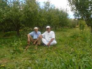 Une production record de la pomme à Yabous ...Khenchela...