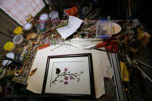 Tableaux sous forme d'herbier réalisés par l'herboriste de Tlemcen Sid Ahmed Boubker