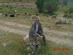 رعي الاغنام فوق الجبال رحلة اشبه بالخيال.