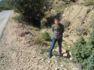 السياحة الجبلية والبيىة في بلدية يابوس