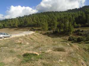 السياحة الجبلية والبيىة في بلدية يابوس