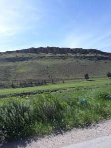 ويعود الربيع وتعود الحياة للطبية.