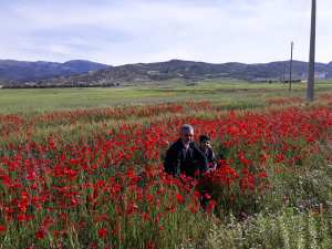 ويعود الربيع وتعود الحياة للطبية.