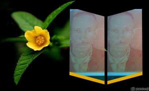 المرحوم سي سليمان تيغزة .