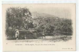 TLEMCEN , SIDI-BOU-MEDINE , VUE PRISE DE LA ROUTE DE BEL-ABES