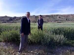 Les joies du printemps et de son soleil