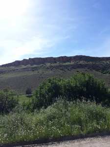 Je découvre : le printemps.