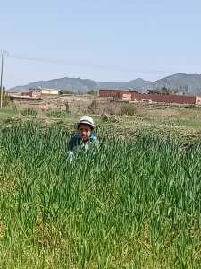 ذكريات الطفولة.