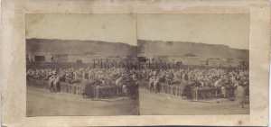 Tlemcen, photo ancienne d'un marché