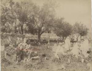 Tlemcen, photo ancienne du Cimetière 1880